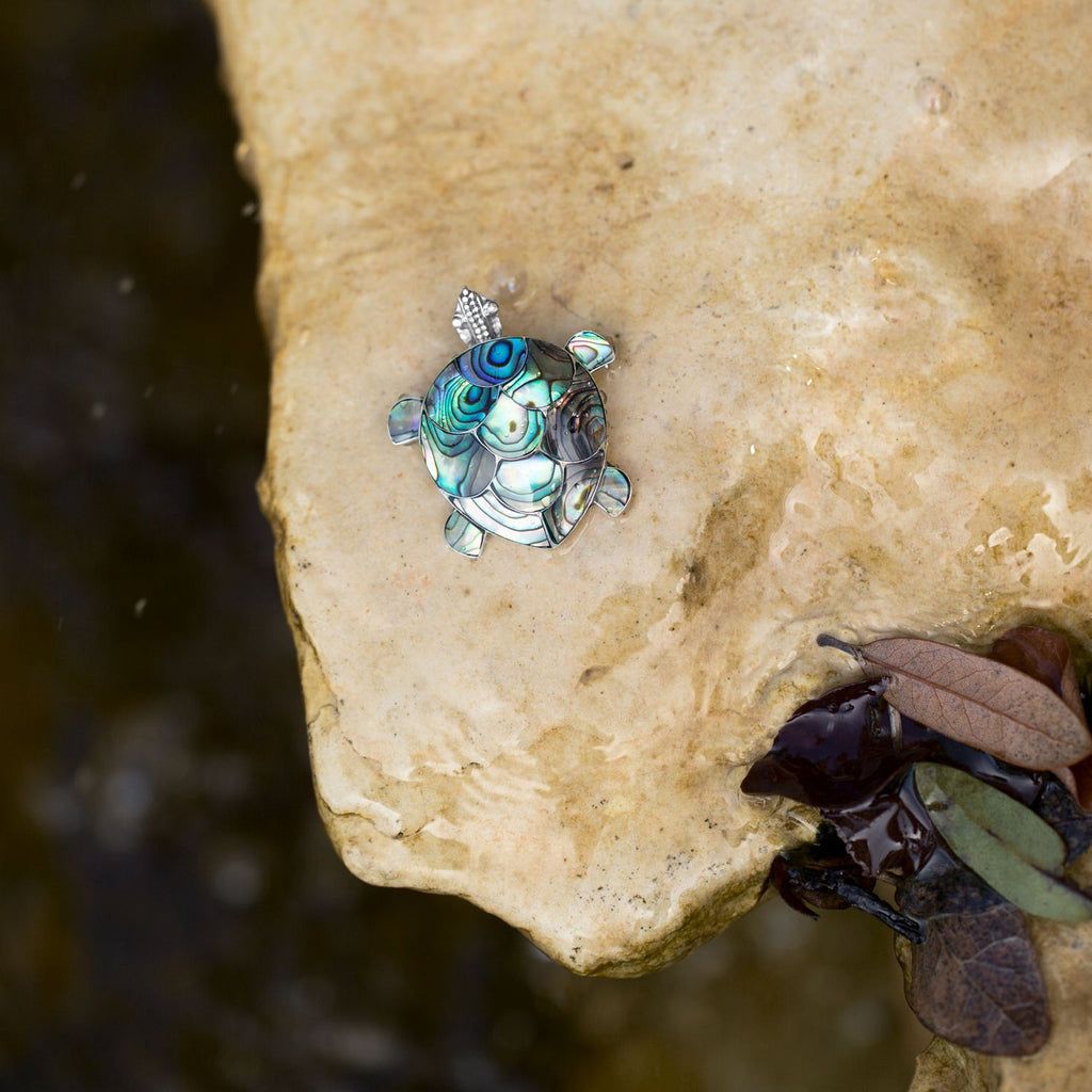 Paua Shell Turtle Pin/Pendant - Matador Diamond