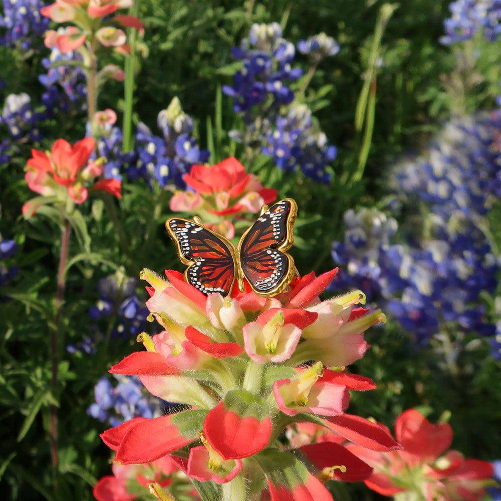 24 Karat Gold Plated Baltic Amber Monarch Butterfly Ring - Matador Diamond