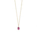 16" 14 Karat Gold Birthstone Necklace (January-December) - Matador Diamond