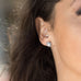 Domed CZ Starburst Earrings - Matador Diamond