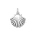 Clam Shell Charm