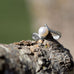 Crossover Design Cultured Freshwater Pearl Ring - Matador Diamond