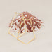 14 Karat Gold Plated Elongated Pentagon Earrings - Matador Diamond